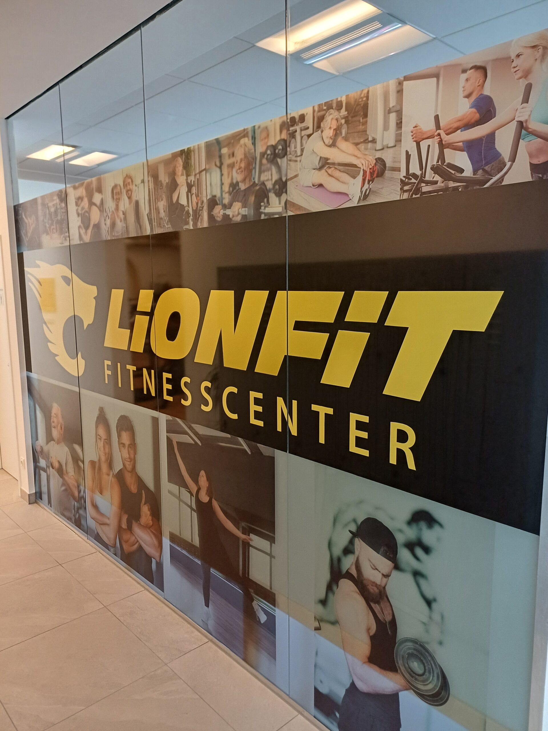 Lionfit